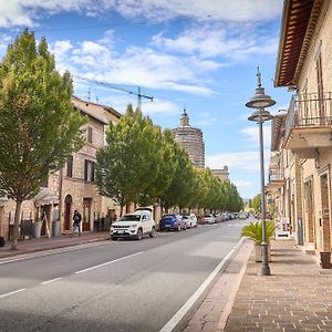 Sottoassisi - Guest House